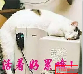 好消息,特大,注冊(cè)公司,免費(fèi),啦,為,答謝,新老, 好消息,特大,注冊(cè)公司,免費(fèi),啦,為,答謝,新老,